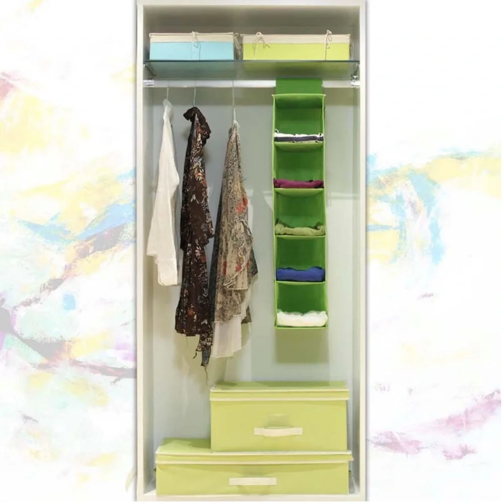 Green Hanging Closet Organizer